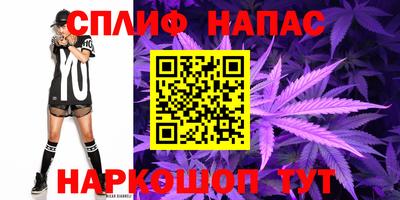 гашик Ефремов