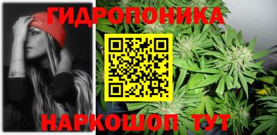 индика Железногорск