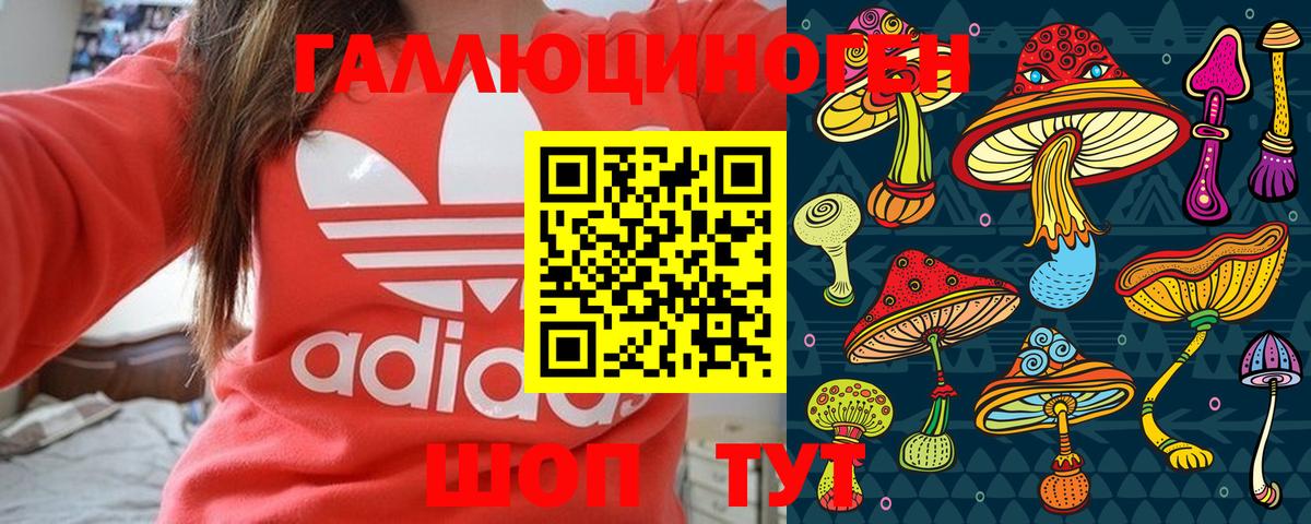 Псилоцибиновые грибы ЛСД Губаха