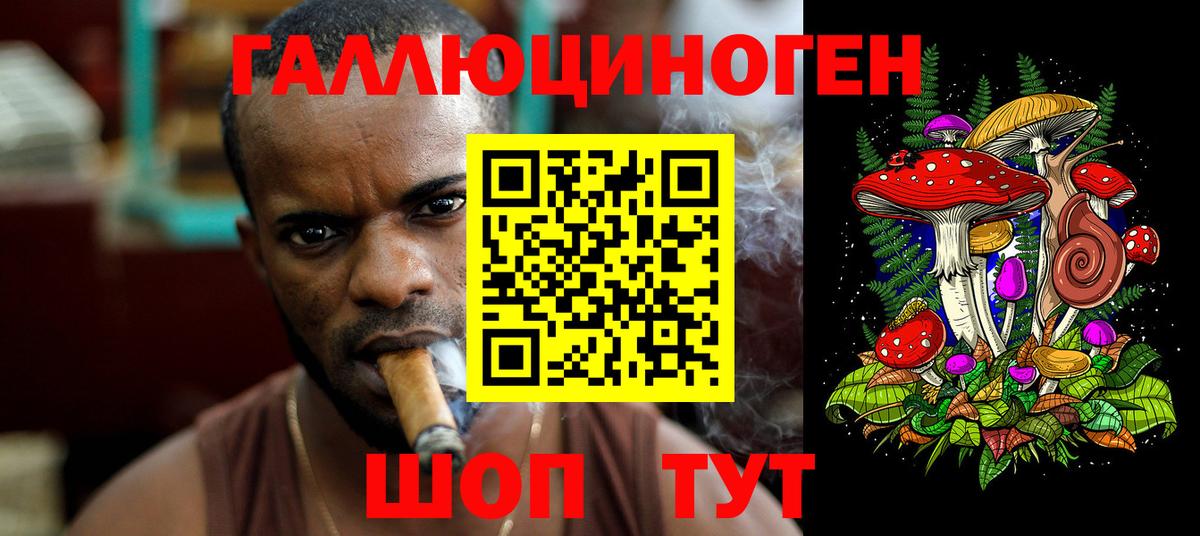 Галлюциногенные грибы Psilocybe  купить  сайты  Губаха  Вход с VPN 